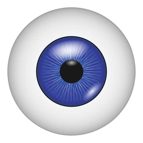 Our Vision